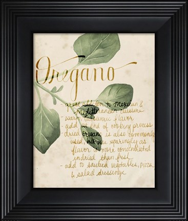Framed Herb Study III Print