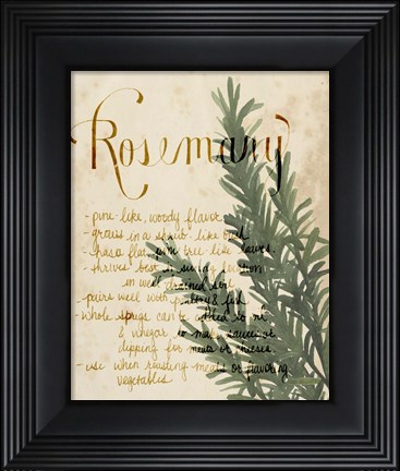 Framed Herb Study IV Print