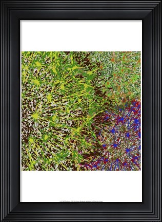 Framed Profusion II Print