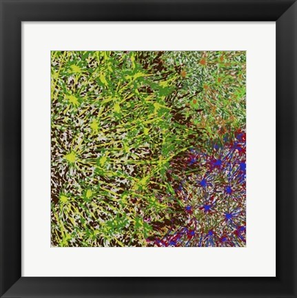 Framed Profusion II Print