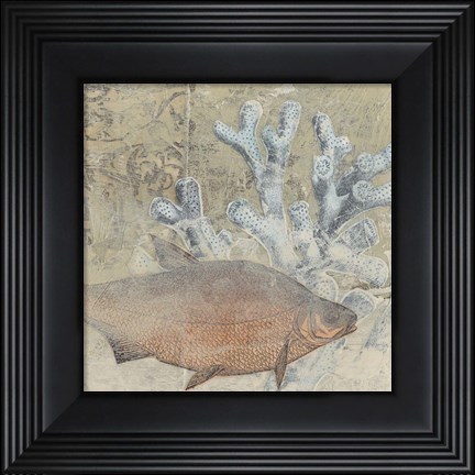 Framed Coastal Cameo IV Print