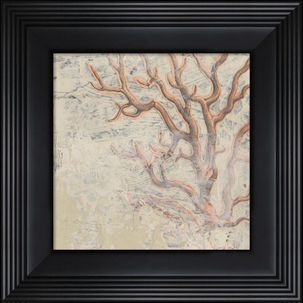 Framed Coastal Cameo VI Print