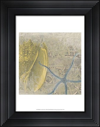 Framed Coastal Cameo VII Print