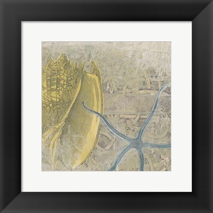 Framed Coastal Cameo VII Print