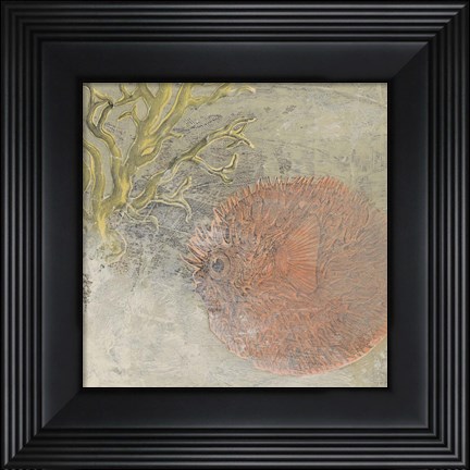Framed Coastal Cameo VIII Print