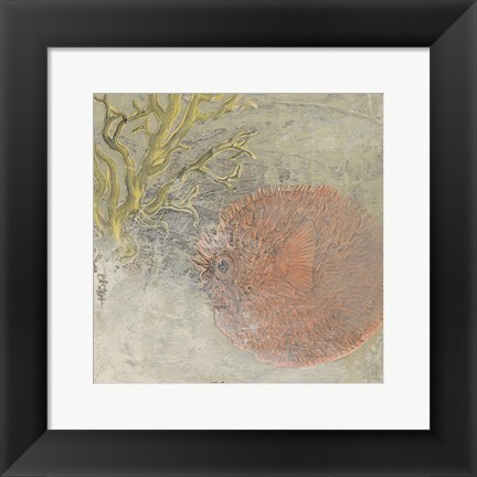 Framed Coastal Cameo VIII Print