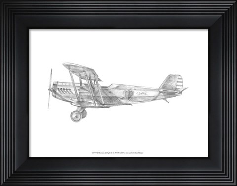 Framed Technical Flight II Print