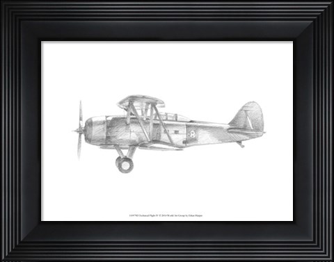 Framed Technical Flight IV Print