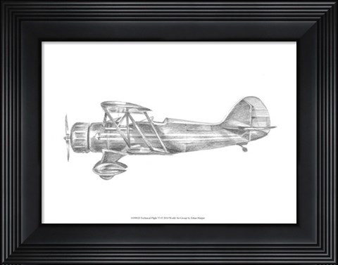 Framed Technical Flight VI Print