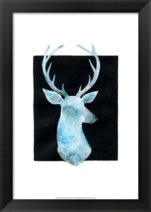 Framed White Tail Bust I Print