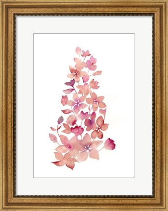 Framed Blossom Falls I Print