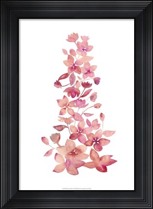 Framed Blossom Falls II Print