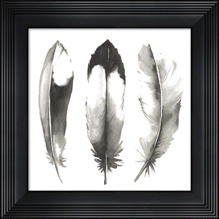 Framed Watercolor Feathers II Print