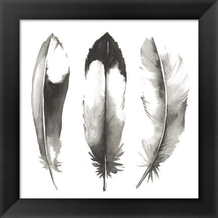 Framed Watercolor Feathers II Print