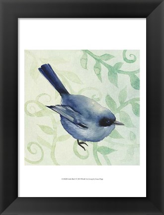 Framed Little Bird I Print