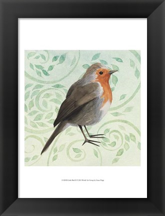 Framed Little Bird II Print