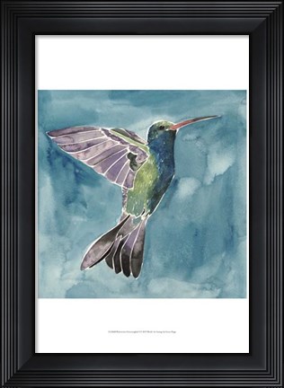 Framed Watercolor Hummingbird I Print