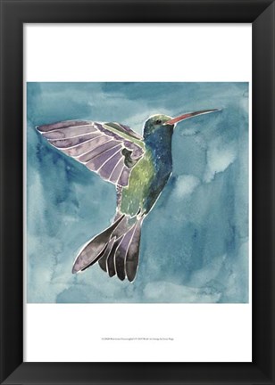 Framed Watercolor Hummingbird I Print