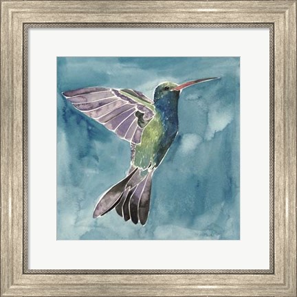 Framed Watercolor Hummingbird I Print