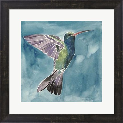 Framed Watercolor Hummingbird I Print