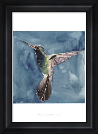 Framed Watercolor Hummingbird II Print