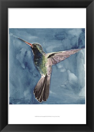 Framed Watercolor Hummingbird II Print