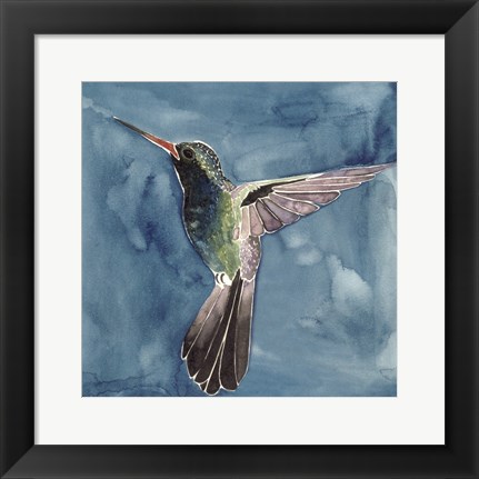 Framed Watercolor Hummingbird II Print