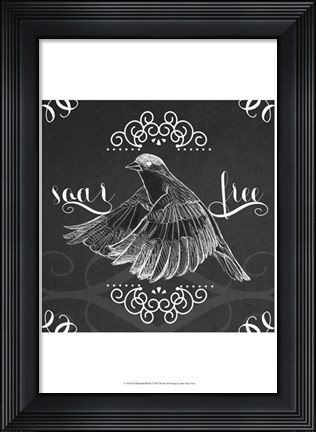 Framed Chalkboard Bird II Print