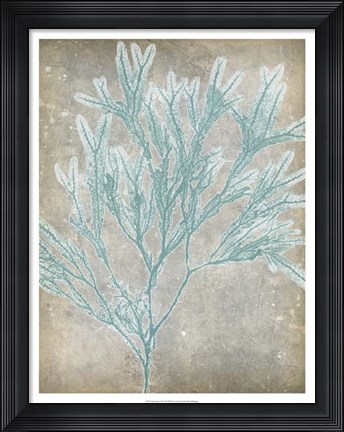 Framed Spa Seaweed I Print