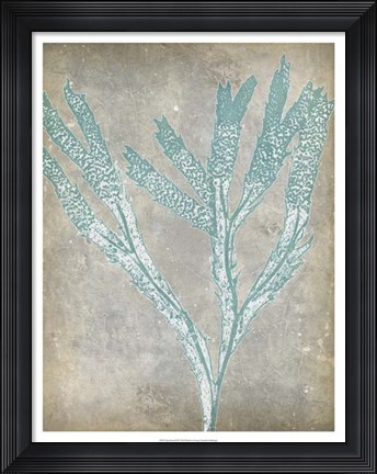 Framed Spa Seaweed II Print