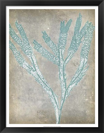 Framed Spa Seaweed II Print