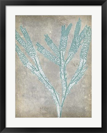 Framed Spa Seaweed II Print