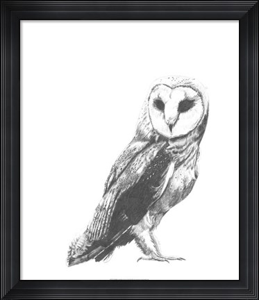 Framed Wildlife Snapshot: Owl Print