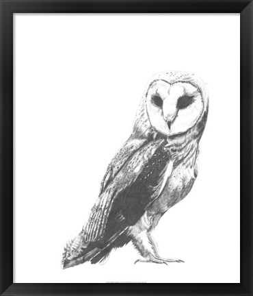 Framed Wildlife Snapshot: Owl Print