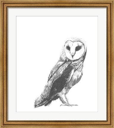 Framed Wildlife Snapshot: Owl Print