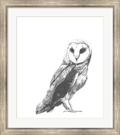 Framed Wildlife Snapshot: Owl Print
