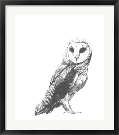 Framed Wildlife Snapshot: Owl Print