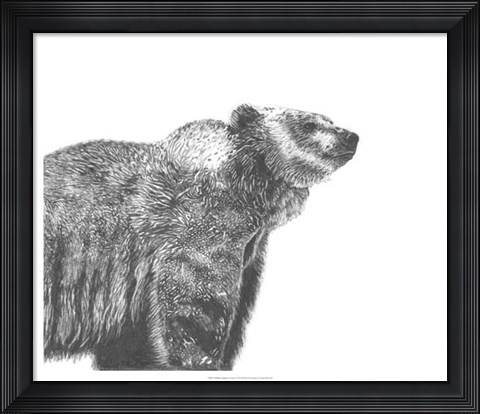 Framed Wildlife Snapshot: Grizzly Print