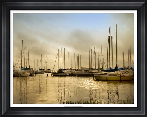 Framed Morning Fog Print