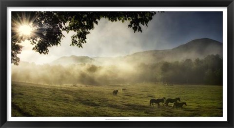 Framed Running in the Mist Print