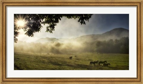 Framed Running in the Mist Print