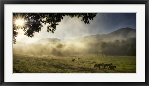 Framed Running in the Mist Print