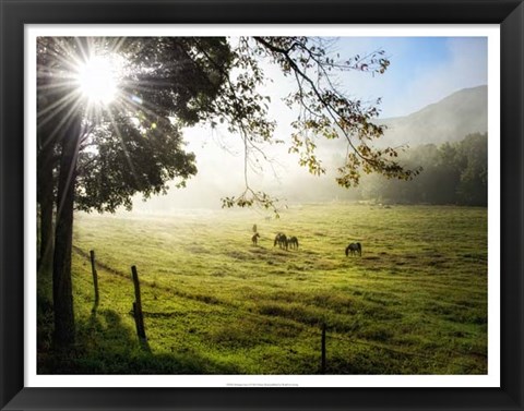 Framed Morning Graze I Print