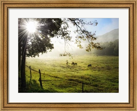 Framed Morning Graze I Print