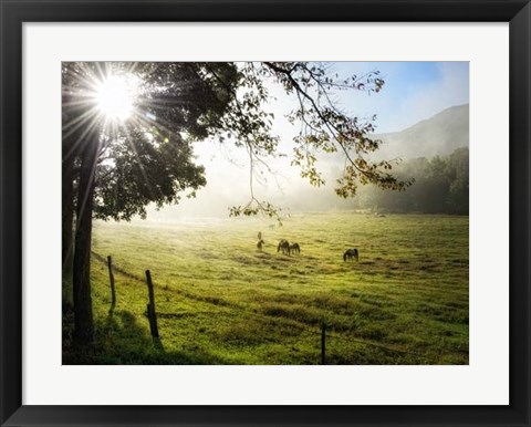 Framed Morning Graze I Print