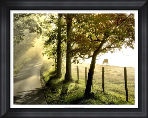 Framed Morning Graze II Print