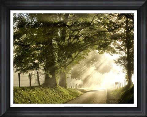 Framed Fresh Morning I Print