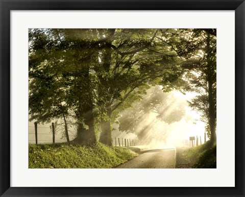 Framed Fresh Morning I Print