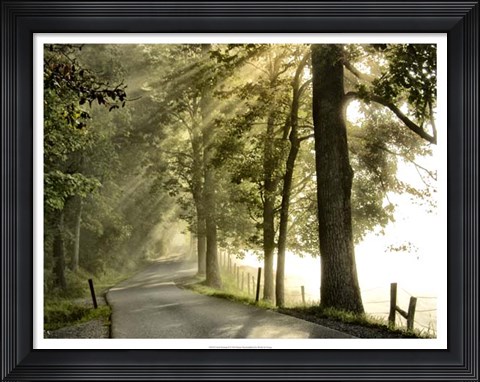 Framed Fresh Morning II Print