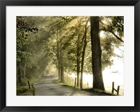 Framed Fresh Morning II Print